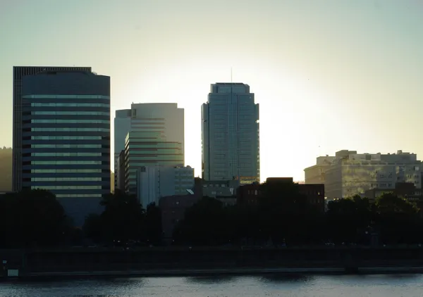 Mild Temps and Peeking Sun: A Saturday Update for Rose City