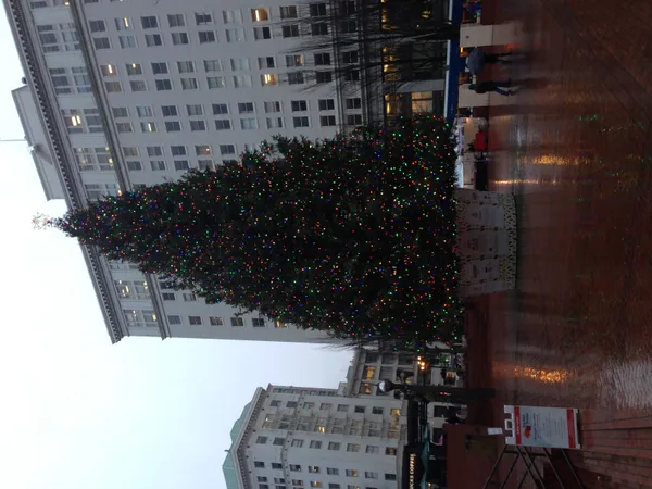 Winter Light and Theater Closings: What's On in Portland Today