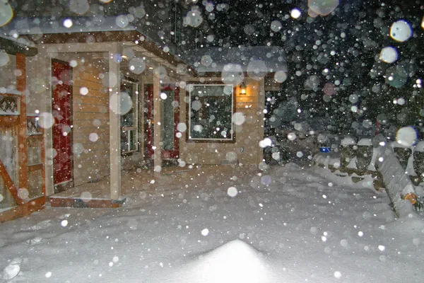 Bitter Chill and Blue Skies: Portland Navigates a Frozen Saturday