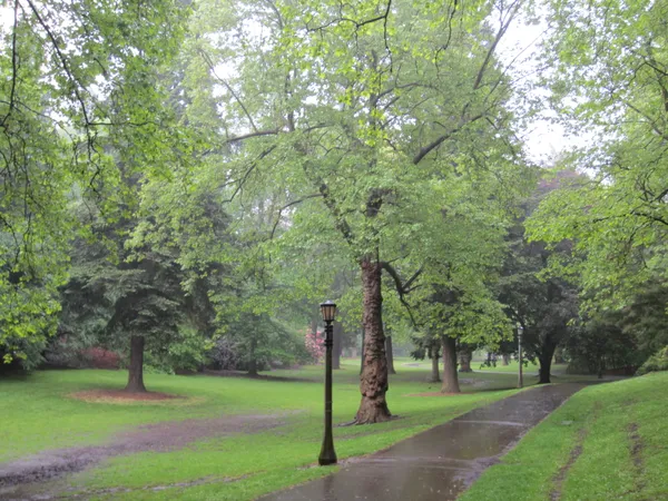 Damp and Chilly Valentine’s: Light Rain Expected for Portland’s Saturday