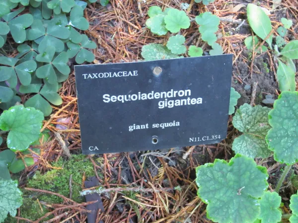 Leach Botanical Garden to cut half its staff and most programs after Portland funding drops