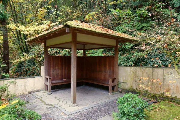 Chilly Rain and Mountain Snow: A Damp Tuesday Ahead for Portland