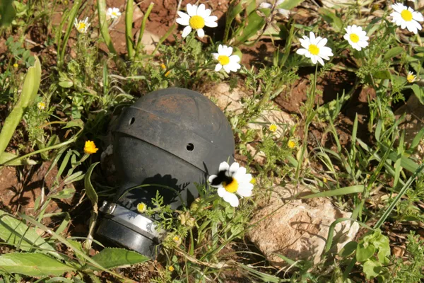 Portland tenants sue DHS and ICE, alleging tear gas drifts into homes and harms residents’ health