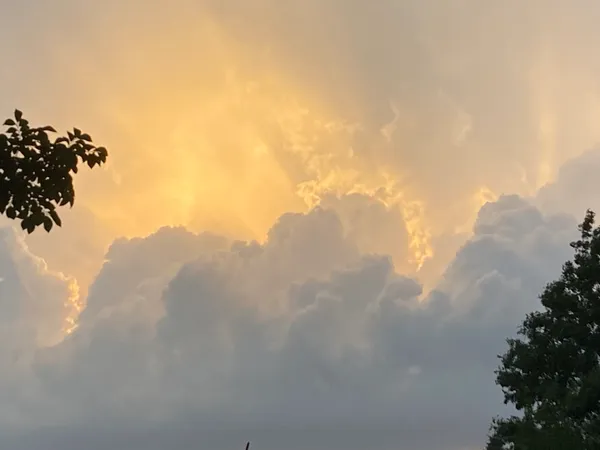 Spring Peek-a-Boo: Morning Showers Give Way to Mild Afternoon Sun